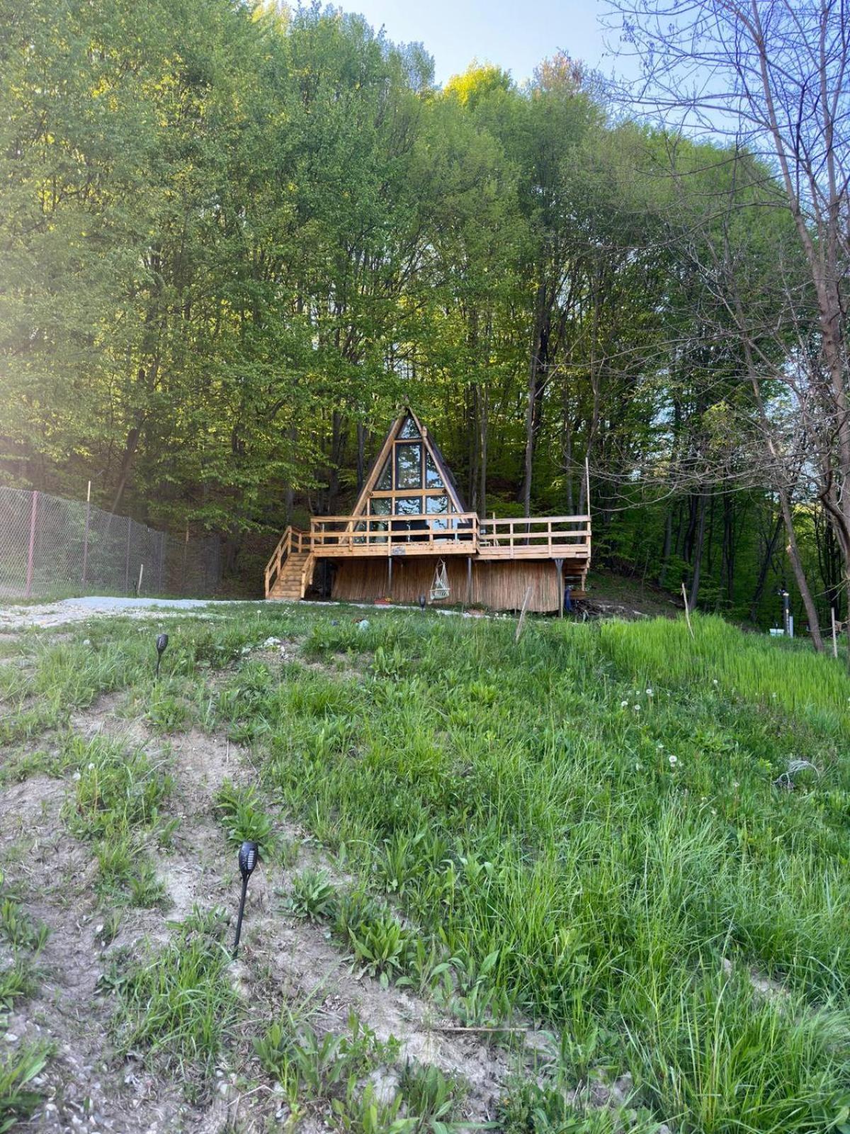 Cabanaaframe Intreaga Proprietate Curtea de Argeş Exterior foto